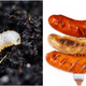 Image for article titled Alternative-protein arms race now includes locust and maggot sausage
